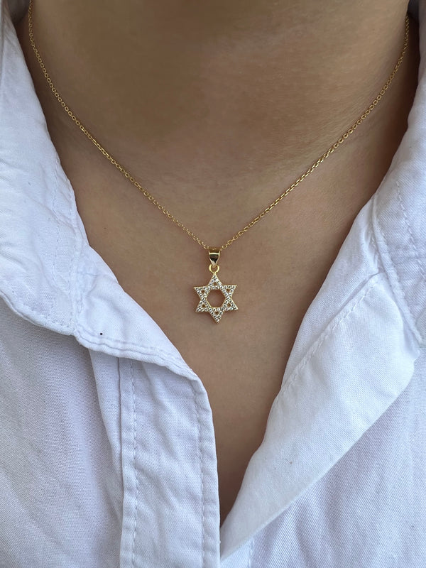 Small Pendant Star of David Necklace