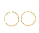 Elegant Hoop