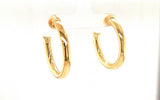 Small Thick Hoop