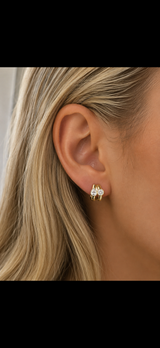 Round & Pear Double Hoop Earrings